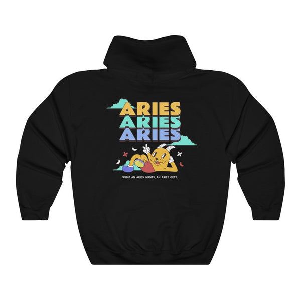 Aries Front/Back Hoodie (Multiple Colors) - My Vintage Candy