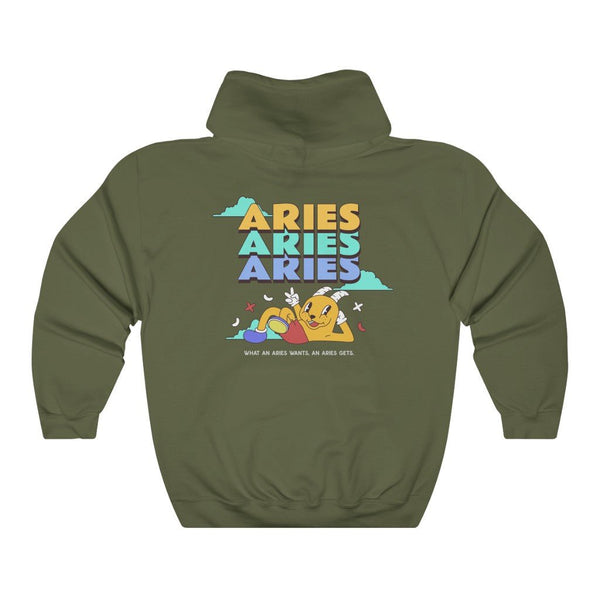 Aries Front/Back Hoodie (Multiple Colors) - My Vintage Candy